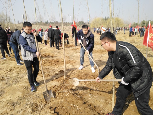 临沂新华参加义务植树活动 第 2 张 临沂新华参加义务植树活动 第 2 张