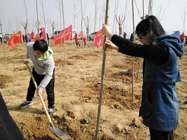 临沂新华参加义务植树活动 第 6 张 临沂新华参加义务植树活动 第 6 张